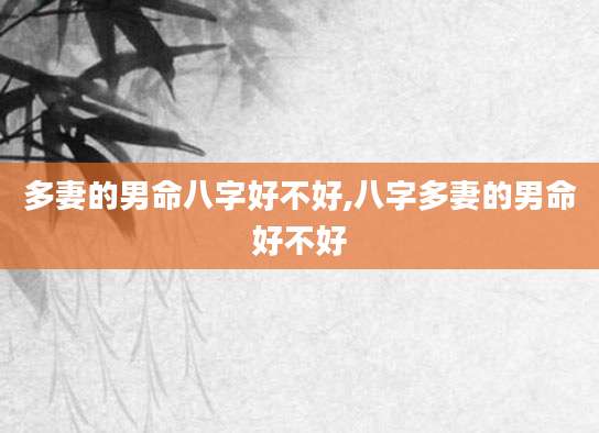 多妻的男命八字好不好,八字多妻的男命好不好