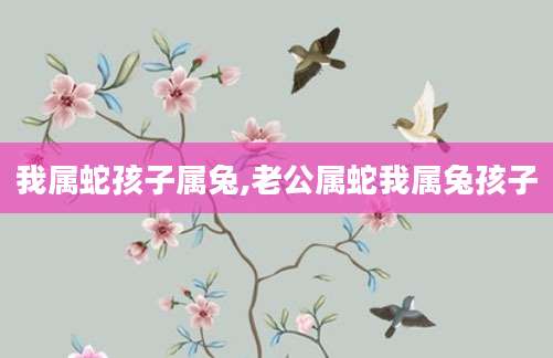 我属蛇孩子属兔,老公属蛇我属兔孩子