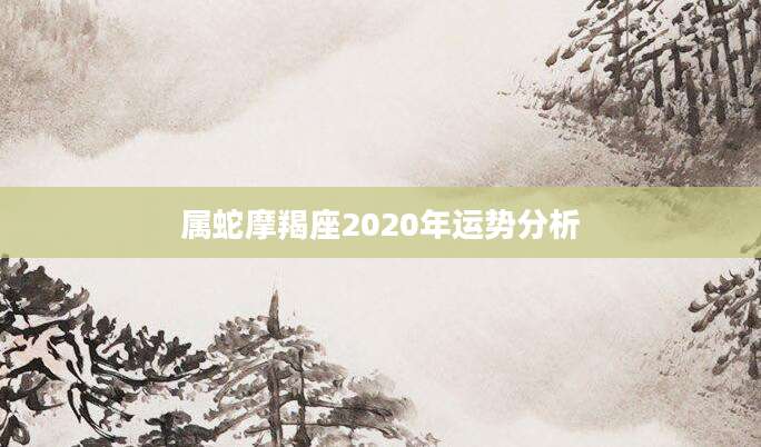 属蛇摩羯座2020年运势分析