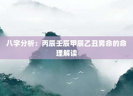 八字分析：丙辰壬辰甲辰乙丑男命的命理解读