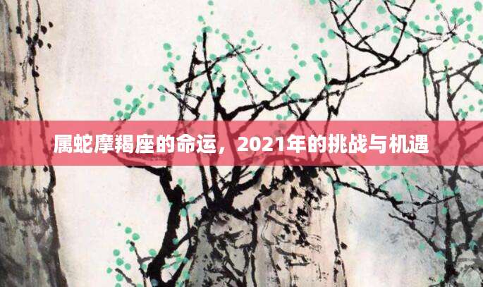 属蛇摩羯座的命运，2021年的挑战与机遇