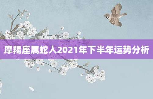 摩羯座属蛇人2021年下半年运势分析