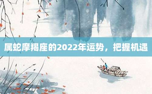 属蛇摩羯座的2022年运势，把握机遇