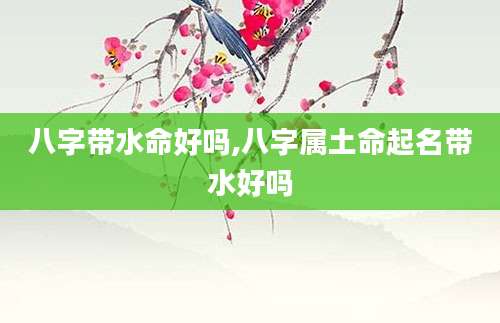 八字带水命好吗,八字属土命起名带水好吗