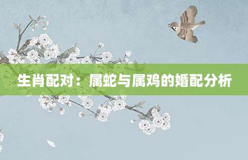 生肖配对：属蛇与属鸡的婚配分析