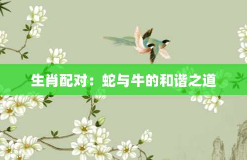生肖配对：蛇与牛的和谐之道