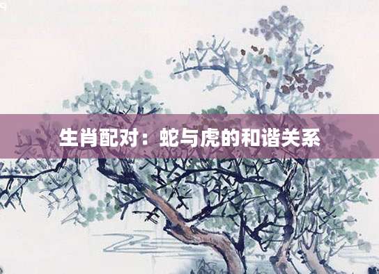 生肖配对：蛇与虎的和谐关系