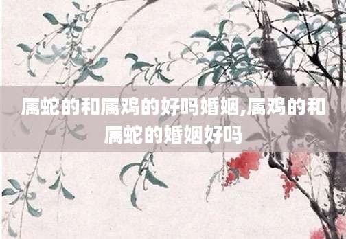 属蛇的和属鸡的好吗婚姻,属鸡的和属蛇的婚姻好吗