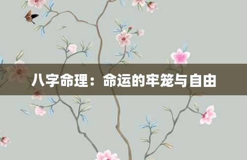 八字命理：命运的牢笼与自由
