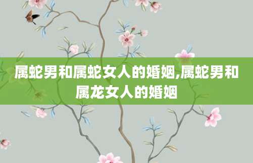 属蛇男和属蛇女人的婚姻,属蛇男和属龙女人的婚姻
