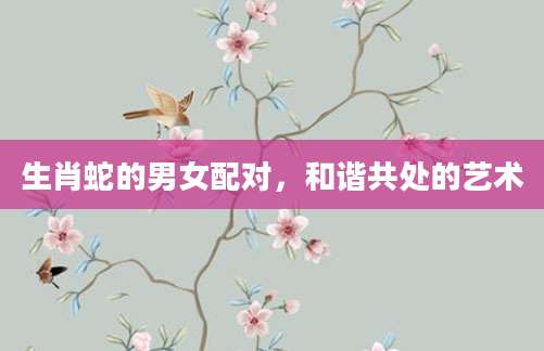 生肖蛇的男女配对，和谐共处的艺术
