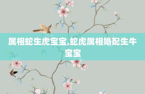 属相蛇生虎宝宝,蛇虎属相婚配生牛宝宝