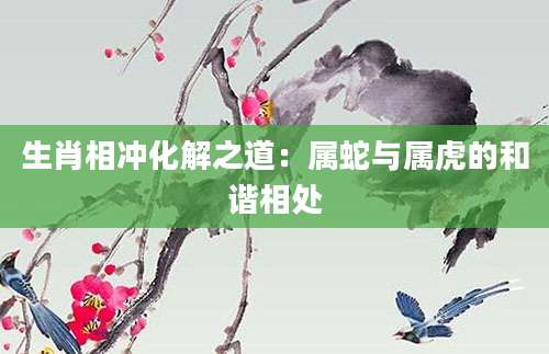 生肖相冲化解之道：属蛇与属虎的和谐相处