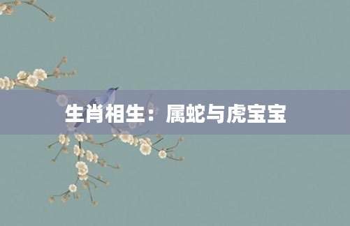 生肖相生：属蛇与虎宝宝