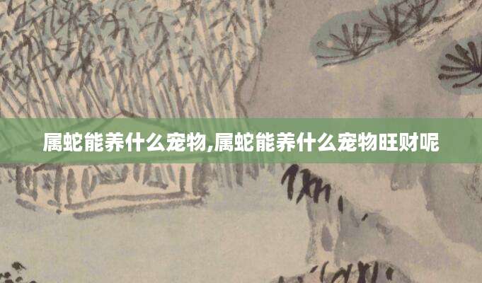 属蛇能养什么宠物,属蛇能养什么宠物旺财呢