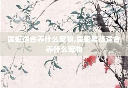 属蛇适合养什么宠物,属蛇男孩适合养什么宠物