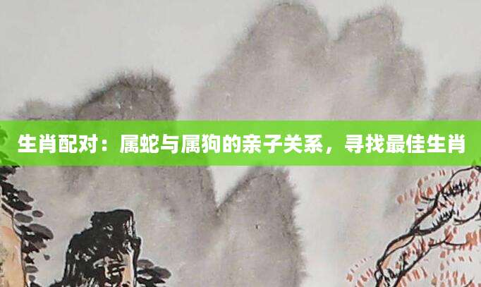 生肖配对：属蛇与属狗的亲子关系，寻找最佳生肖