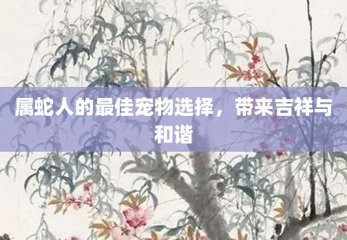 属蛇人的最佳宠物选择，带来吉祥与和谐