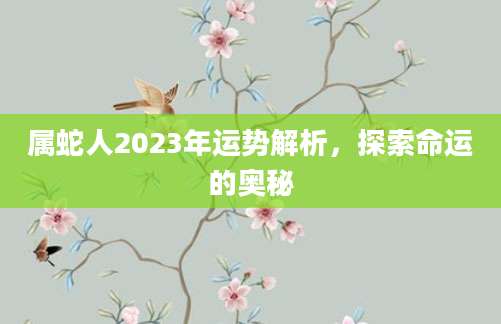 属蛇人2023年运势解析，探索命运的奥秘