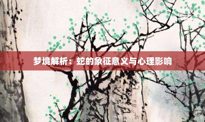 梦境解析：蛇的象征意义与心理影响