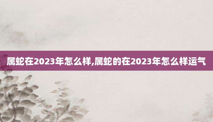 属蛇在2023年怎么样,属蛇的在2023年怎么样运气