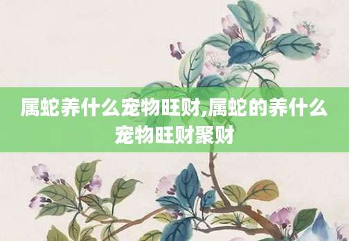 属蛇养什么宠物旺财,属蛇的养什么宠物旺财聚财