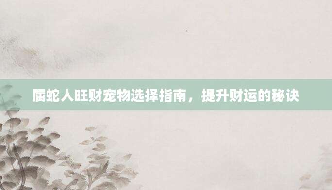 属蛇人旺财宠物选择指南，提升财运的秘诀