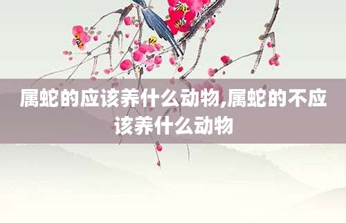 属蛇的应该养什么动物,属蛇的不应该养什么动物