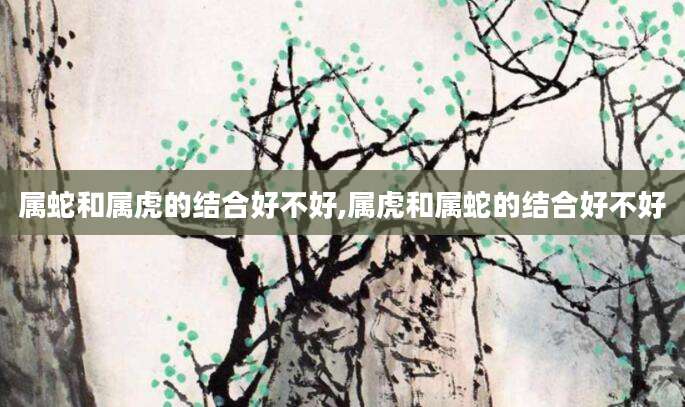 属蛇和属虎的结合好不好,属虎和属蛇的结合好不好
