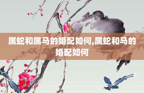 属蛇和属马的婚配如何,属蛇和马的婚配如何