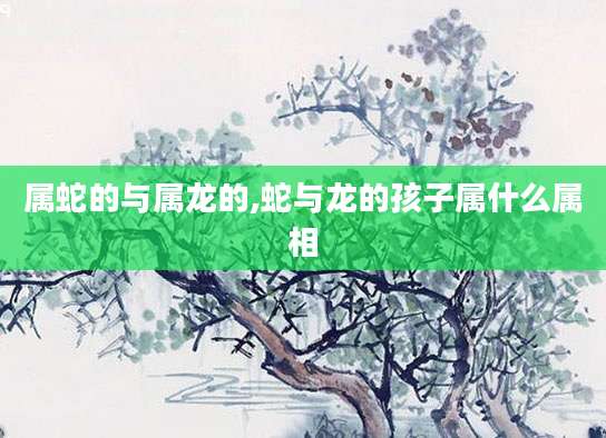 属蛇的与属龙的,蛇与龙的孩子属什么属相