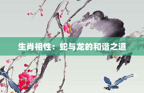 生肖相性：蛇与龙的和谐之道
