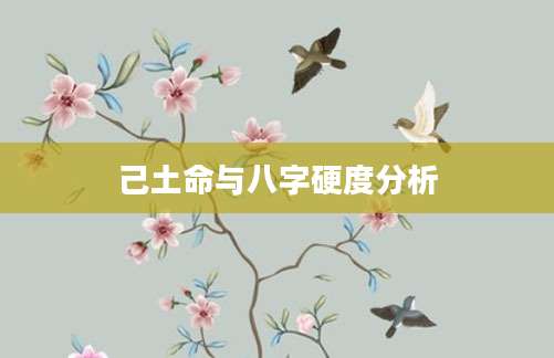 己土命与八字硬度分析