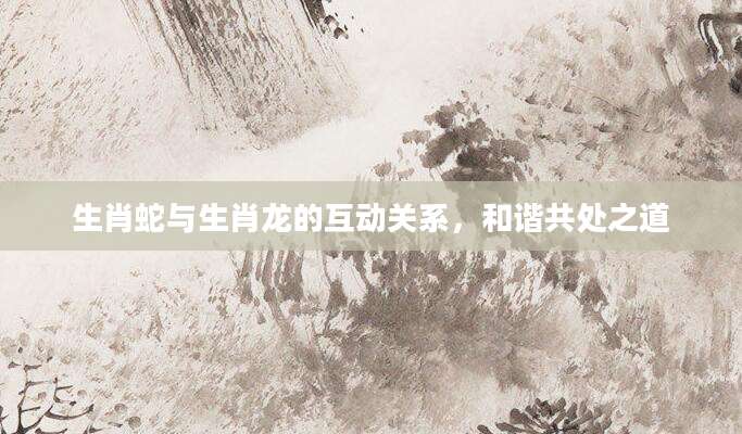 生肖蛇与生肖龙的互动关系，和谐共处之道