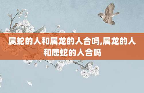 属蛇的人和属龙的人合吗,属龙的人和属蛇的人合吗