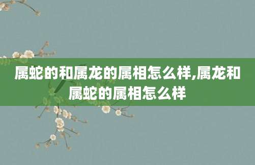 属蛇的和属龙的属相怎么样,属龙和属蛇的属相怎么样