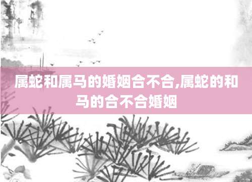 属蛇和属马的婚姻合不合,属蛇的和马的合不合婚姻