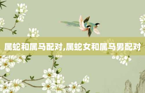 属蛇和属马配对,属蛇女和属马男配对