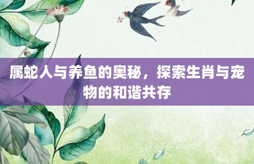属蛇人与养鱼的奥秘，探索生肖与宠物的和谐共存