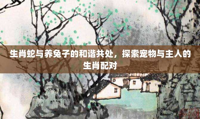 生肖蛇与养兔子的和谐共处，探索宠物与主人的生肖配对