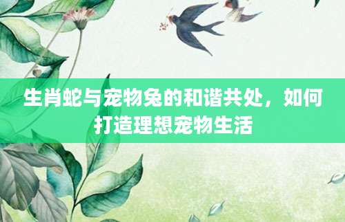 生肖蛇与宠物兔的和谐共处，如何打造理想宠物生活