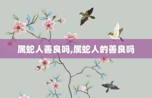 属蛇人善良吗,属蛇人的善良吗