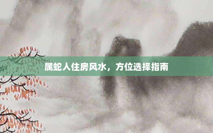 属蛇人住房风水，方位选择指南