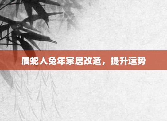 属蛇人兔年家居改造，提升运势