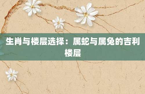 生肖与楼层选择：属蛇与属兔的吉利楼层
