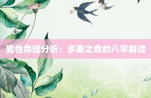 男性命理分析：多妻之命的八字解读