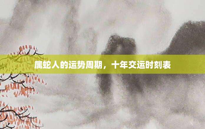 属蛇人的运势周期，十年交运时刻表