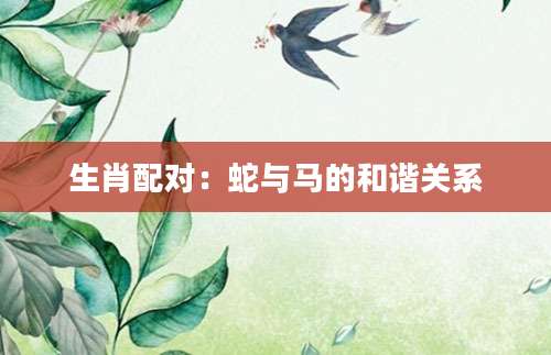生肖配对：蛇与马的和谐关系