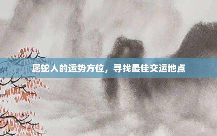 属蛇人的运势方位，寻找最佳交运地点