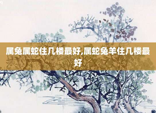 属兔属蛇住几楼最好,属蛇兔羊住几楼最好